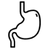 Support-Gut-Lining-Repair-icon